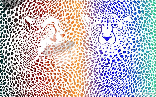 Image of Cheetahs color background with heads