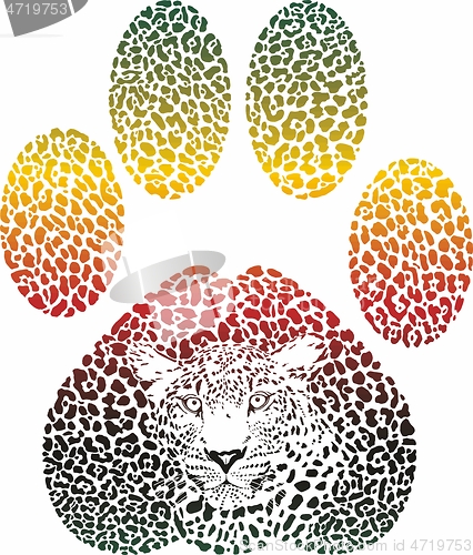 Image of Leopard color footprint
