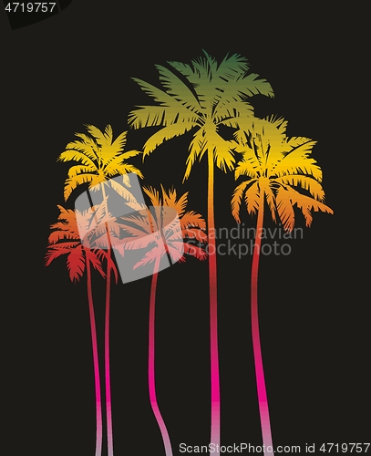 Image of Magical palms trees at night