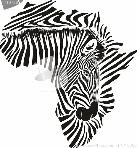 Image of Map of Africa made of zebra head and skin