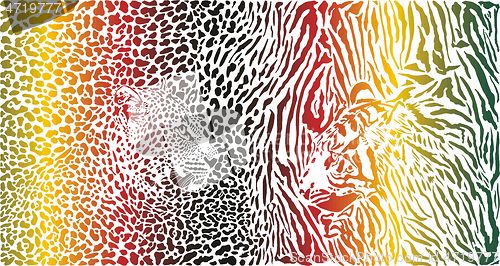 Image of Tiger and Leopard and color pattern background