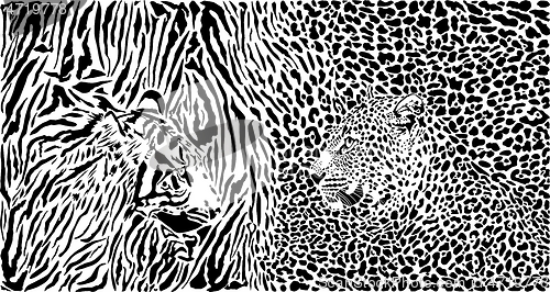 Image of Tiger and Leopard and pattern background