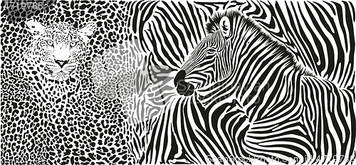 Image of Wild animal background - template with leopard and zebra motif