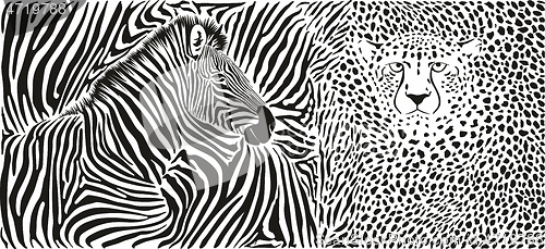 Image of Wild animal background - template with zebra and cheetah motif