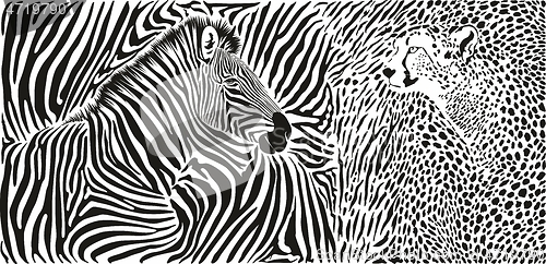 Image of Wild animal background - template with zebra and cheetah motif