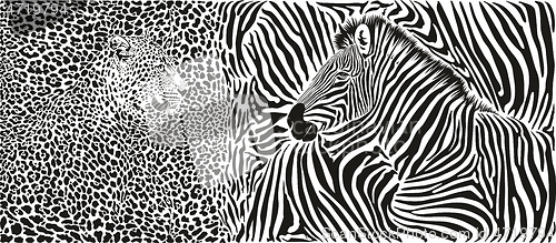 Image of Zebra and leopard skin pattern with heads