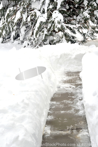 Image of Winter snow outdoors.