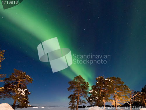 Image of Aurora Borealis and Trees