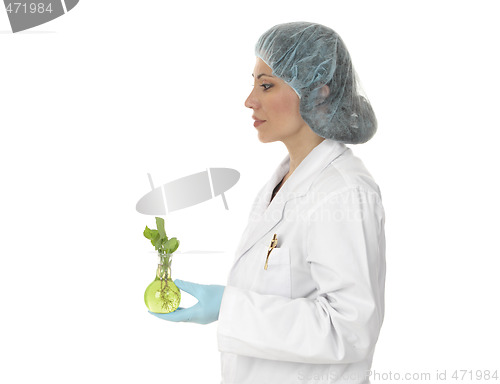 Image of Agricultural scientist or botanist