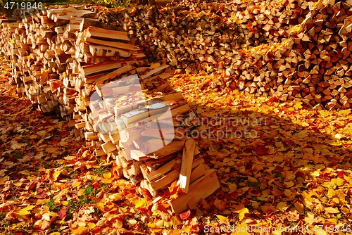 Image of woodpile of firewood in the yard with autumn leaves 