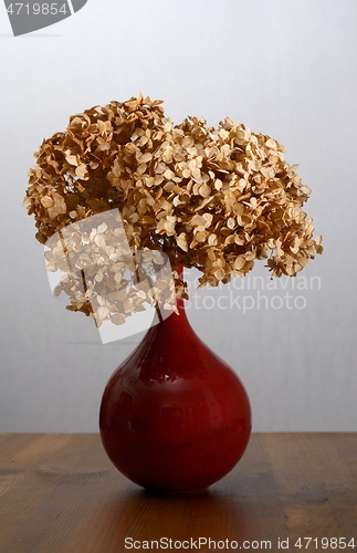 Image of dry hydrangea in a red vase on a table