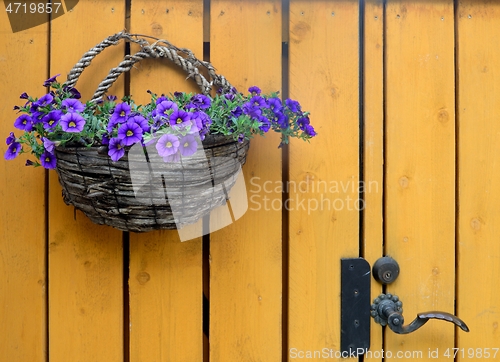Image of basket with blue flowers on a yellow fence 