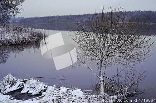 Image of landscape with tree by the lake in winter