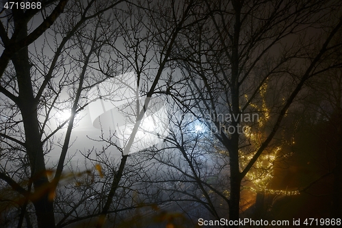 Image of night view from the top floor window of the trees in the fog and