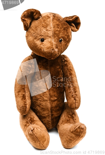Image of sitting teddy bear on a white background