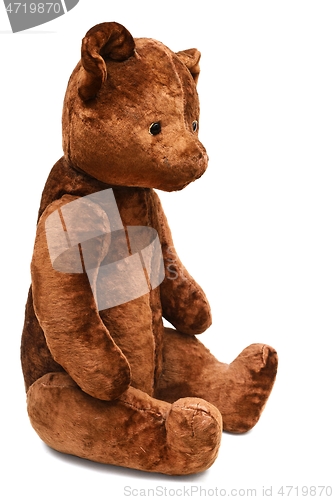 Image of sitting teddy bear on a white background