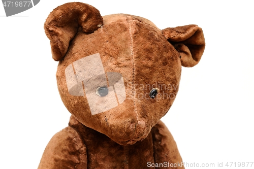 Image of closeup of the head of a shabby teddy bear toy on a white 