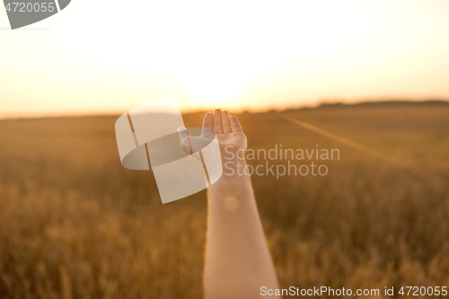 Image of hand of young woman on cereal field