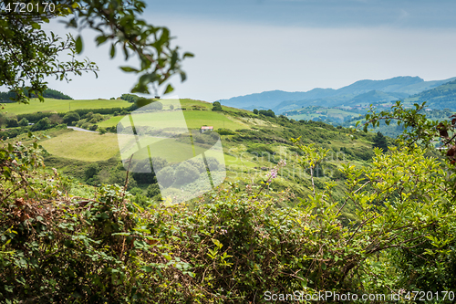 Image of Green meadow in mountain. Composition of nature