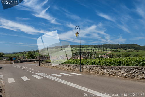Image of View to the road and vineyard in Burgundy Bourgogne home of pinot noir and chardonnay in summer day with blue sky. Cote d\'Or