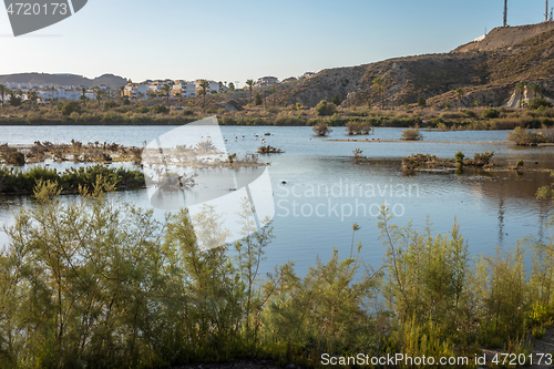 Image of Panoramic evening view of Salar de los Canos