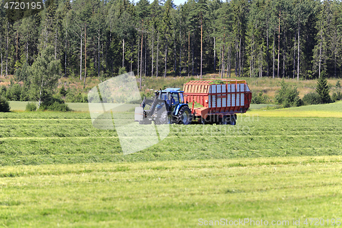 Image of Collecting Hay for Silage With Forage Wagon