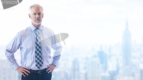 Image of Portrait of senior businessman