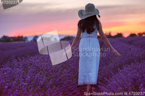 Image of woman portrait in lavender flower fiel