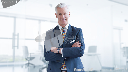 Image of Portrait of senior businessman