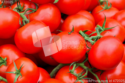 Image of Organic tomato