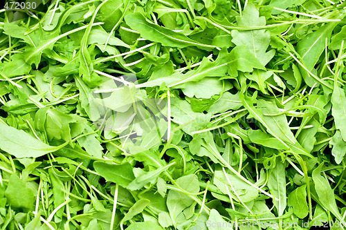 Image of Rucola