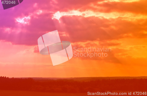 Image of Shafts of Sunlight