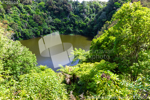 Image of volcanic activities at waimangu