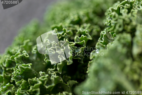 Image of close up of kale cabbage on table