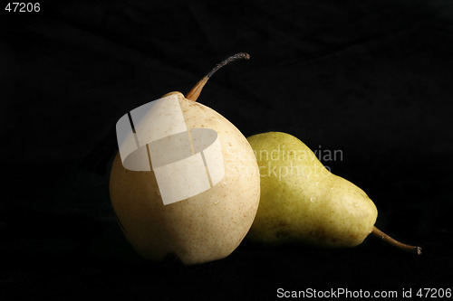 Image of Two Pear