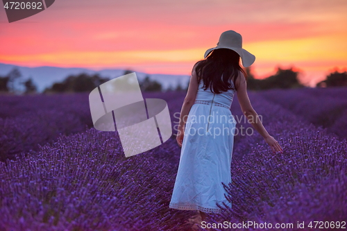 Image of woman portrait in lavender flower fiel