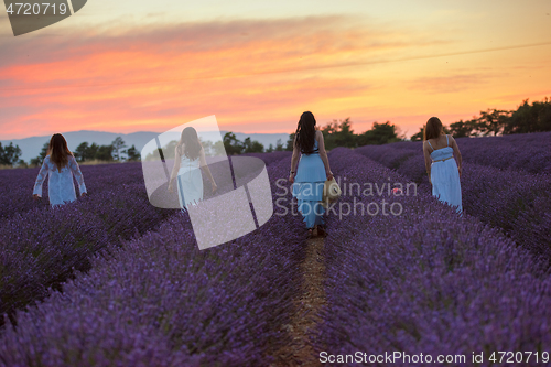 Image of group of famales have fun in lavender flower field