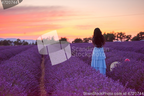 Image of woman portrait in lavender flower fiel