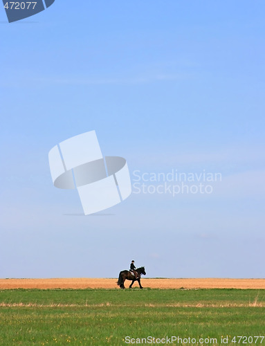 Image of Lonely Rider