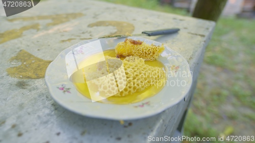 Image of Raw honey with honeycomb from the beehive