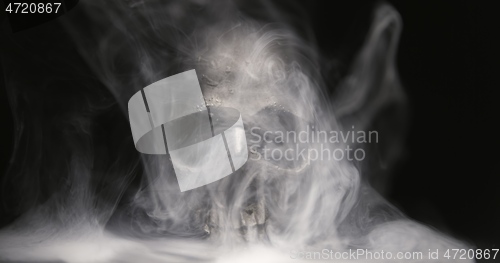 Image of Black skull in the darkness with smoke and fog