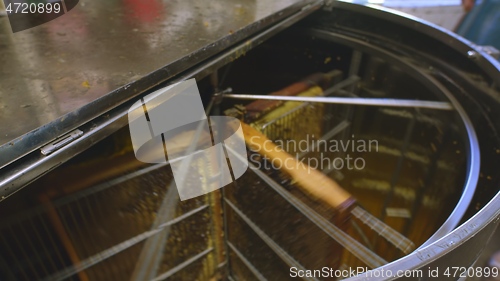 Image of honey extractor at work in the beefarm