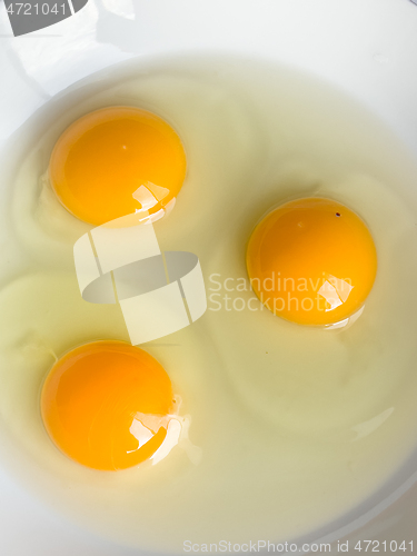 Image of Raw chicken eggs