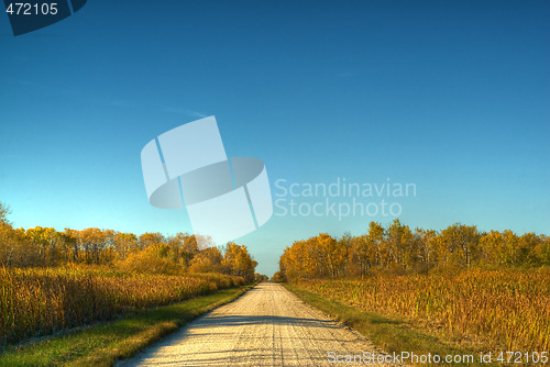 Image of Rural Road