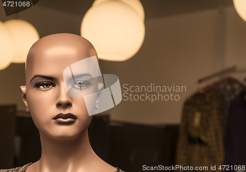 Image of Portrait of a Mannequin