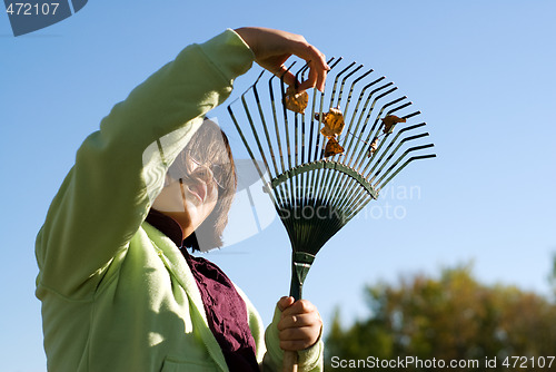 Image of Fall Chores