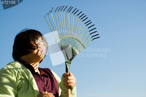 Image of Raking Leaves