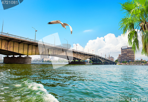 Image of Bridge in Cairo