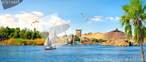 Image of View of Aswan