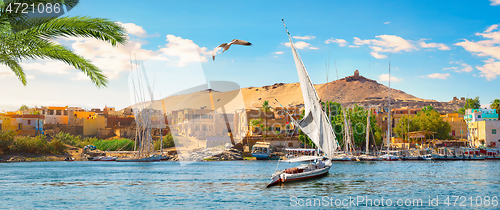 Image of Panorama of Aswan